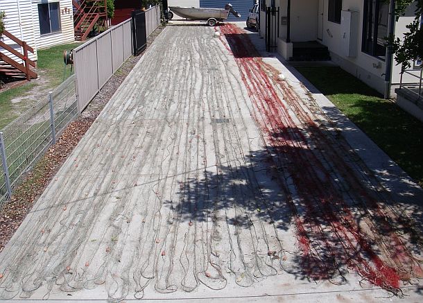 Fisheries officers nab illegal netters